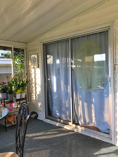 Patio Door