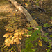 season changes