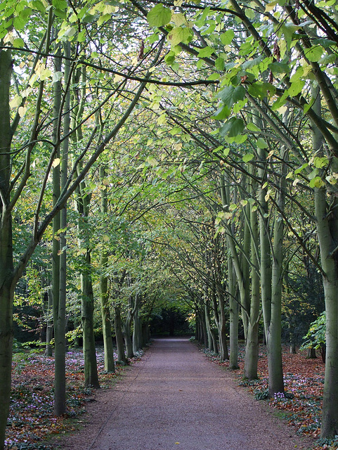 Anglesey Abbey 2013-11-08