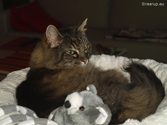 Milly with plush toy (2011)