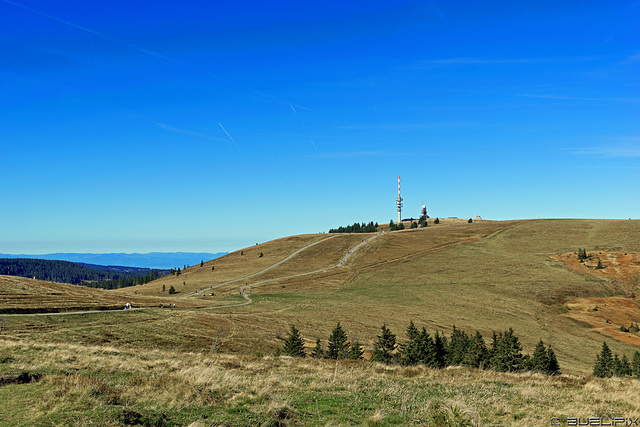 zwischen Seebuck und Feldberg (© Buelipix)