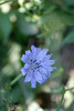 DSCF8708