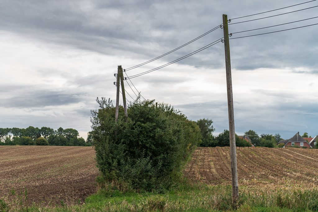 Farmland & wires