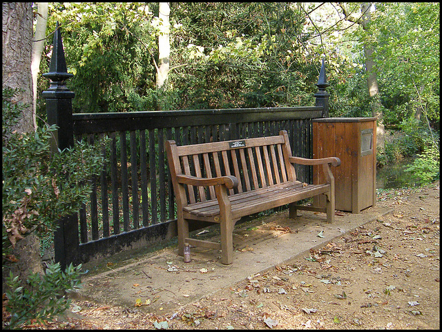 seat by the woodland path