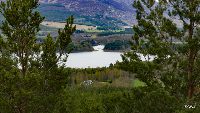 Loch Insh