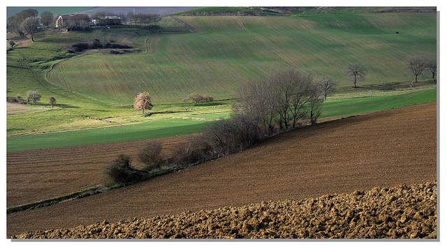 59 Le printemps vient de naître... 59 Le printemps vient de naître...