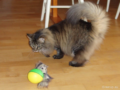 Milly and the mechanical mole (2006)
