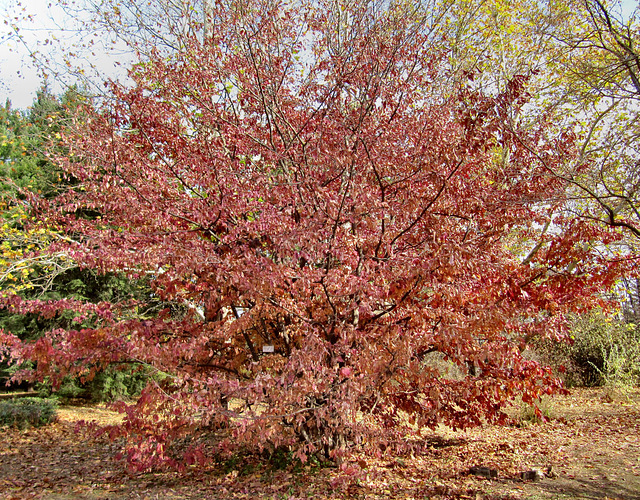 La poésie d'un jour d'automne