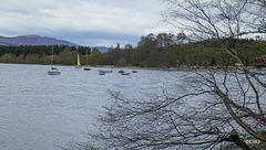 Loch Insh