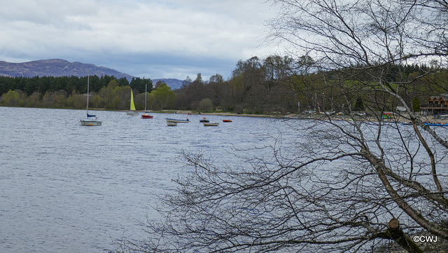 Loch Insh