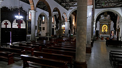palma (15)