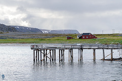 Hamningberg