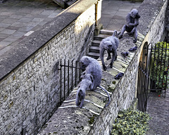 Royal Monkey Business – Tower of London, London, England