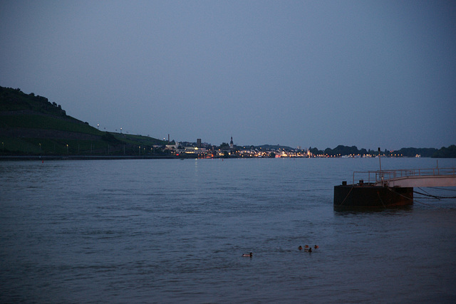 Rudesheim At Night