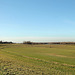 Blick über die Weseler Rheinaue / 21.02.2021 Blick über die Weseler Rheinaue / 21.02.2021