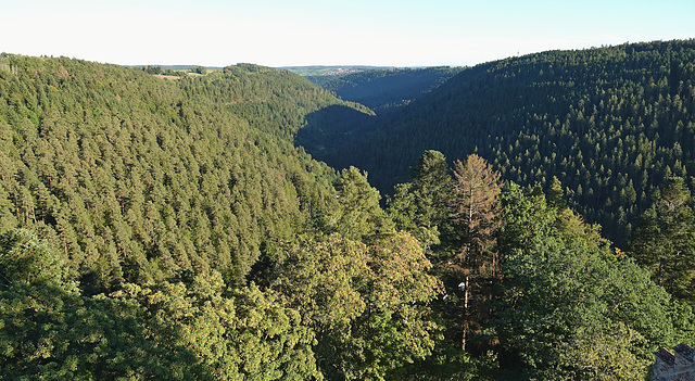 Viel Holz im Teinachtal und so drum rum