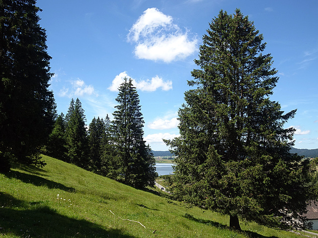 Durchblick zum Lac des Taillères