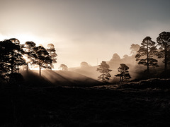 Sunrise in Glen Affric