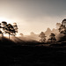 Sunrise in Glen Affric