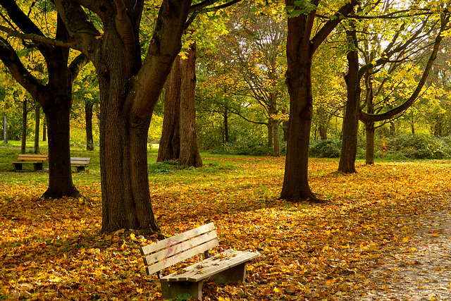 Drei Bänke im Herbst - HBM!