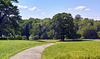 park-1075-1077 Panorama-05-06-17