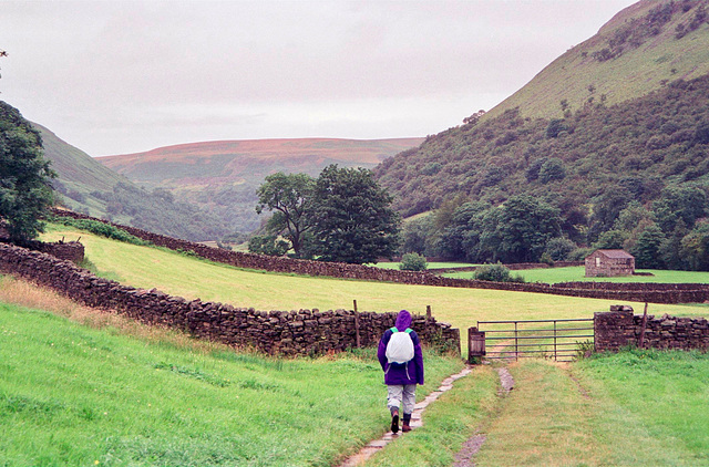 Looking northwards leaving Mucker and on to the River Swale (Scan from August 1993)