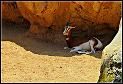 Biopark Valencia, 112