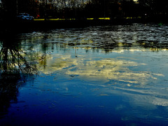 Frozen Reflections