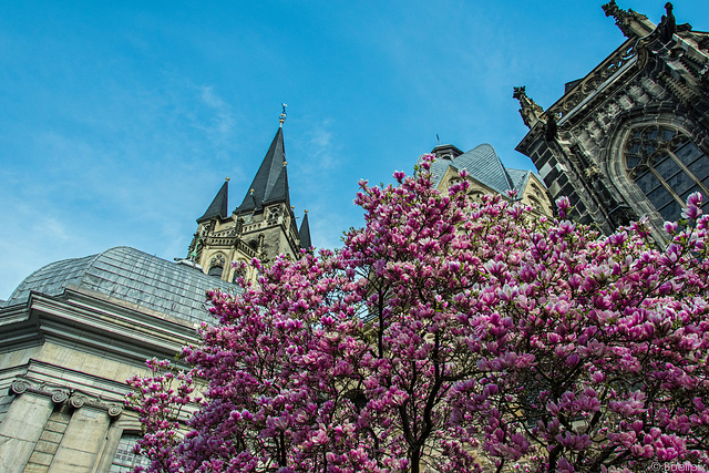 Aachen - vor dem Dom (© Buelipix)