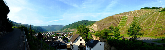 DE - Dernau - Panoramic view