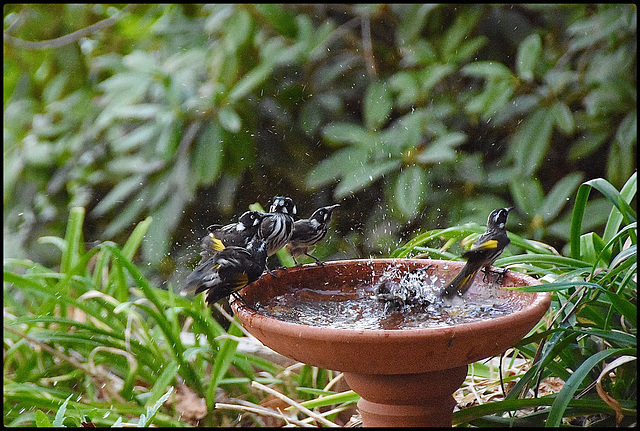 Bath time