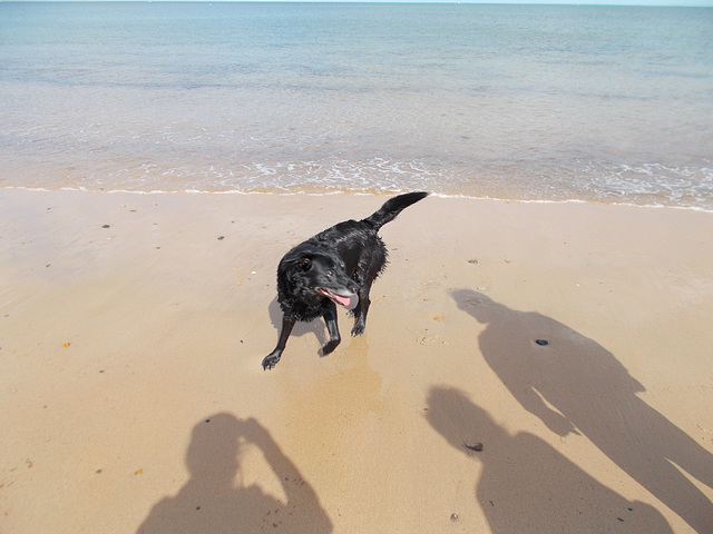 rvc[8-22] - Ben on the beach [1 of 3]