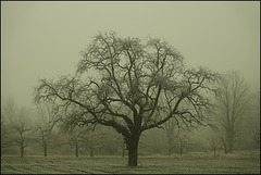 Jahresendmelancholie