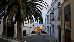 palma (18)