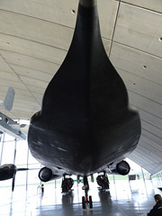 iwmdux (1702)