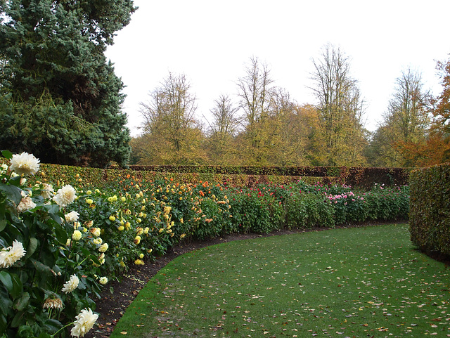 Anglesey Abbey 2013-11-08