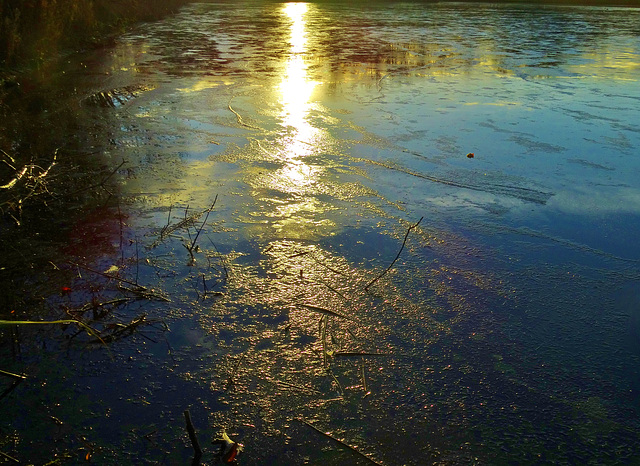 Frozen Reflections