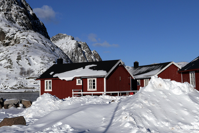 Lofoten, Reine