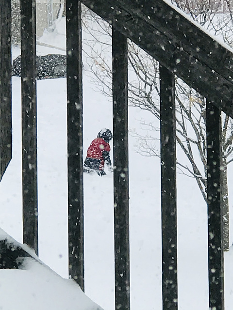 playing in the snow