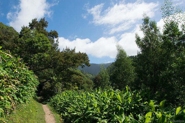 unterwegs zum Salto do Cagarrão (© Buelipix)