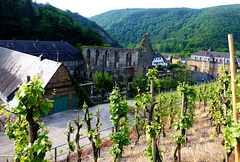DE - Dernau - Kloster Marienthal