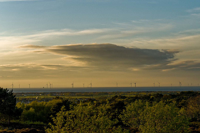 Thurstaston Common view