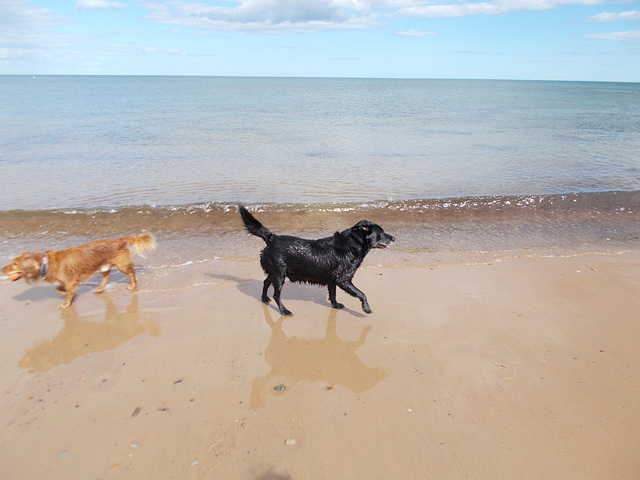 rvc[8-22] - Ben on the beach [3 of 3]