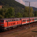 BÖ0034181