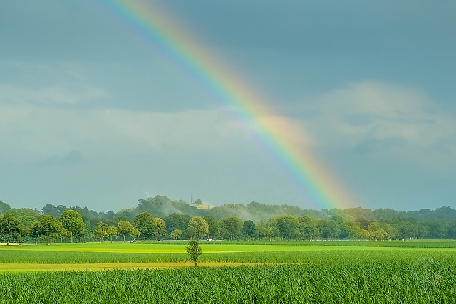 Nach dem Gewitter ++ After the storm