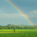 Nach dem Gewitter ++ After the storm