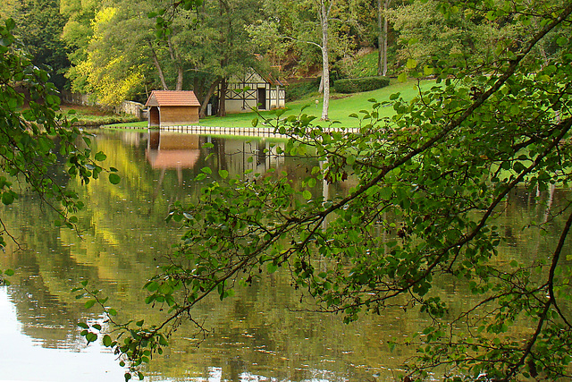 reflets d'automne