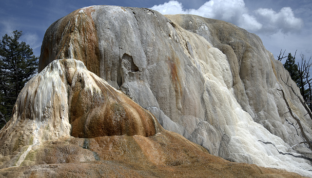 Outcrop at Mammoth Hot Springs