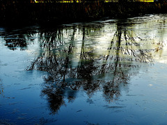 Frozen Reflections