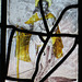 great dunmow church, essex c18 dutch glass, perhaps st paul